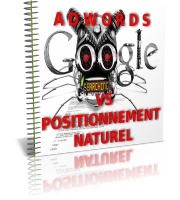 Adwords VS Positionnement Naturel